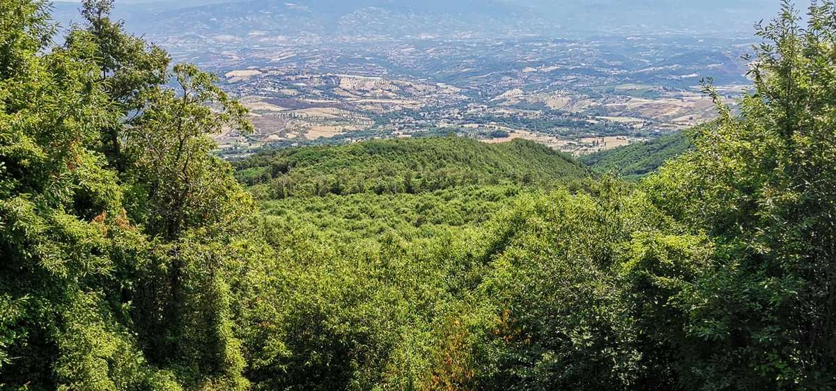 natura calabria