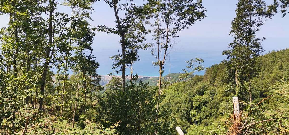 paesaggi di calabria in bici