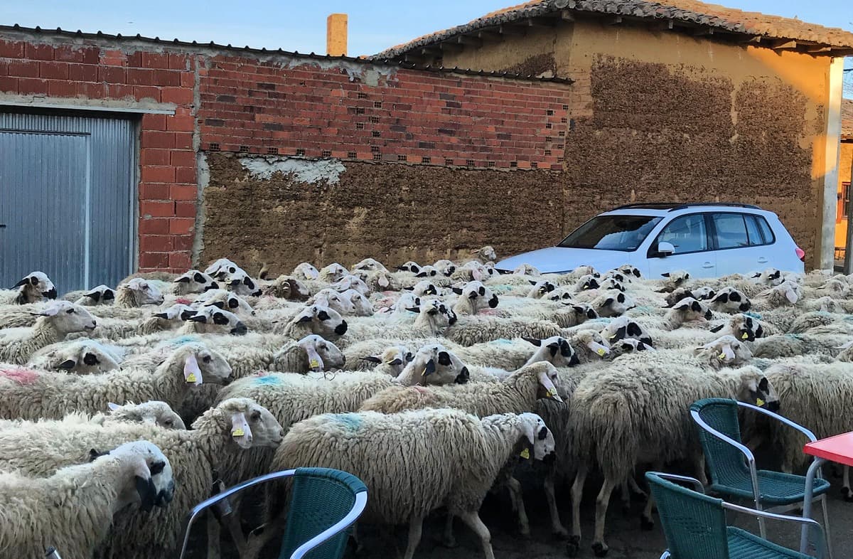 27 cammino di santiago