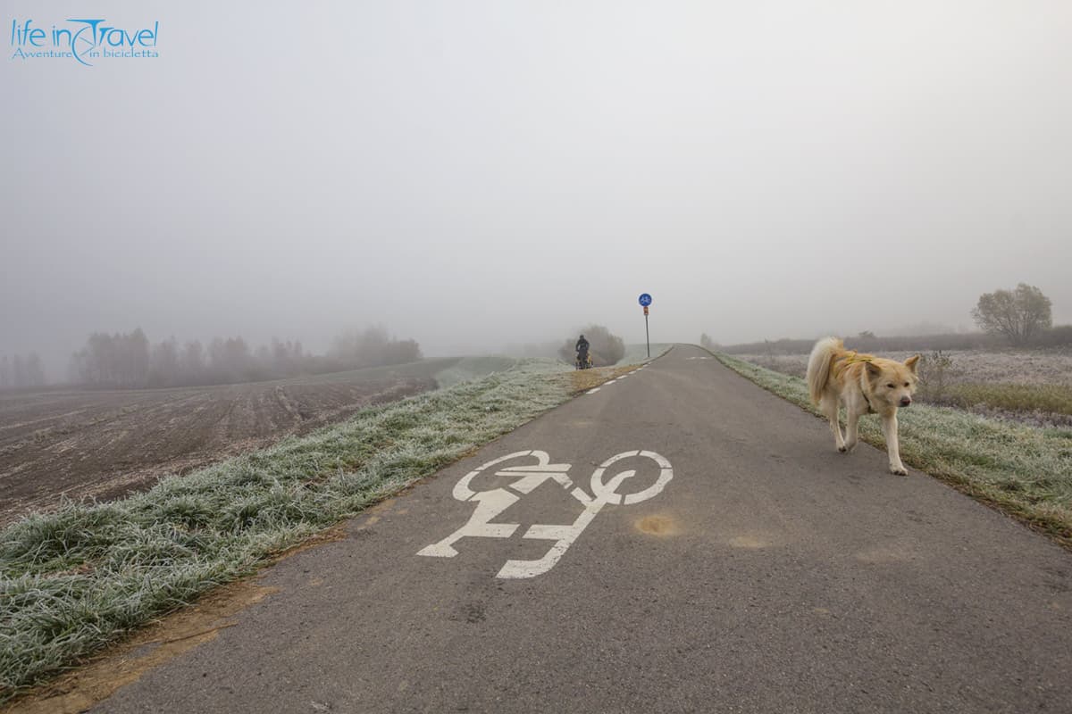 22 nala sulla pista ciclabile in polonia