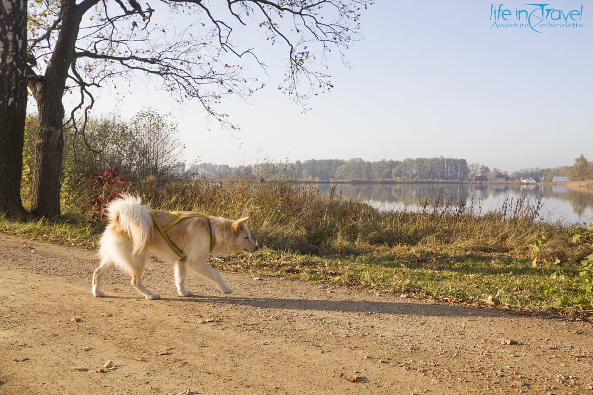 29 nala sterrato lago