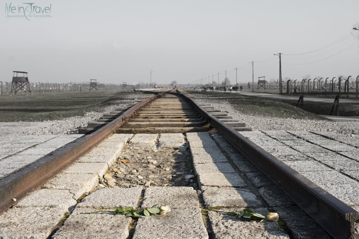 30Auschwitz birkenau