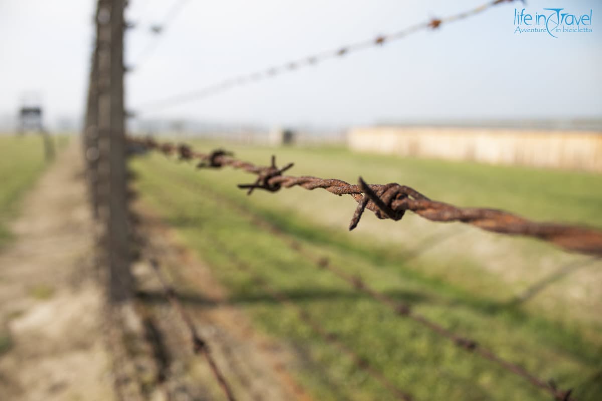 31 Auschwitz birkenau filo spinato