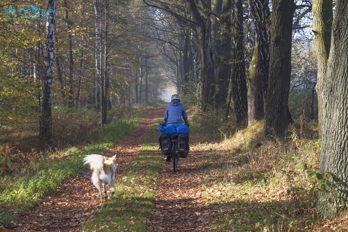 42 verso sud sterrato bici