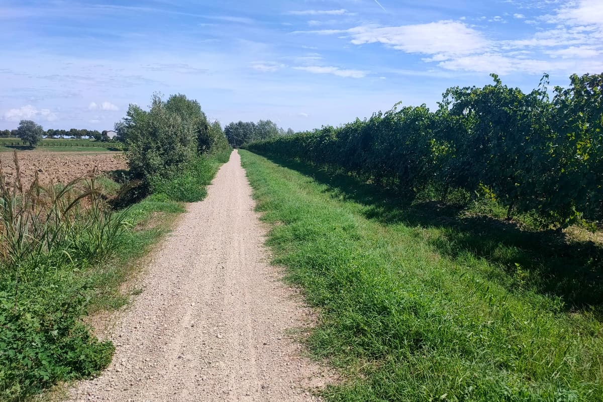 lungo il santerno