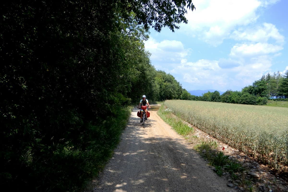 26   Nei pressi di Oleis