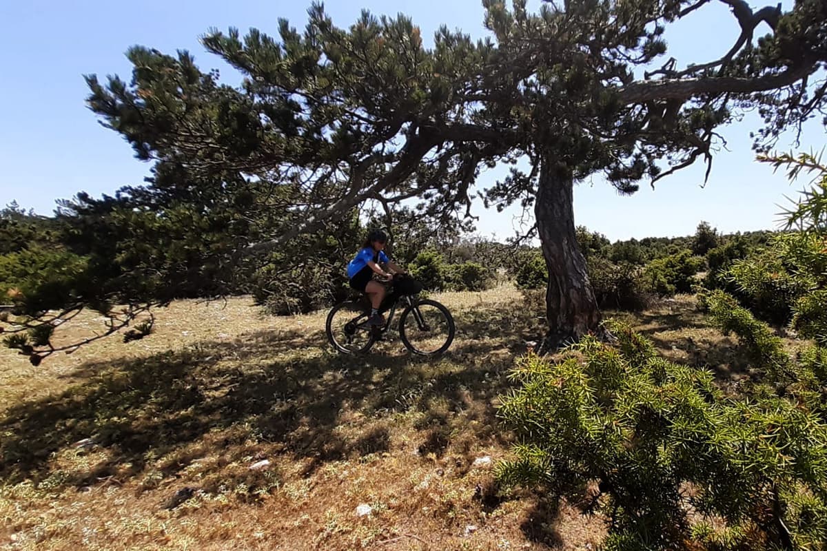 16 hvar trail