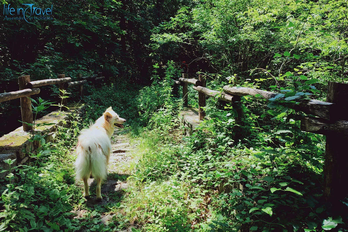 06 nala sterrato ponte lunigiana trail