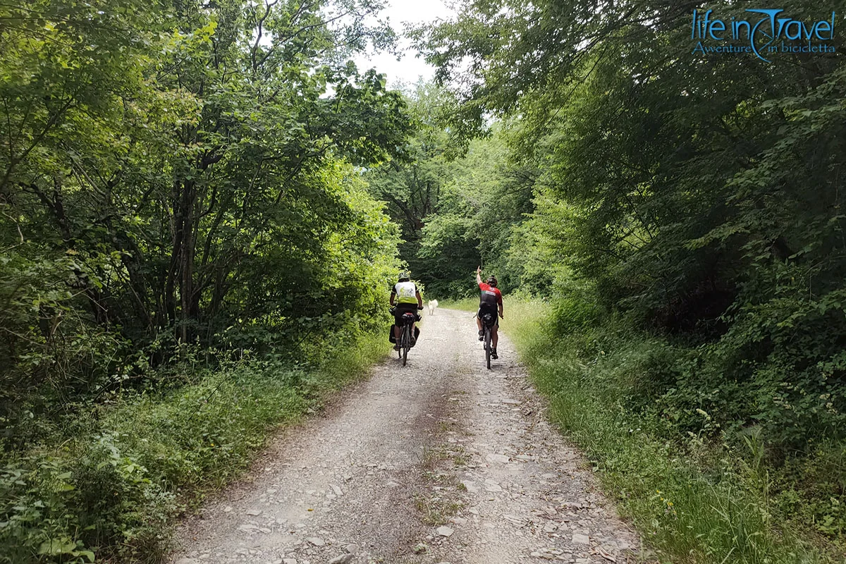 08 salita sterrata leo castagno lunigiana trail