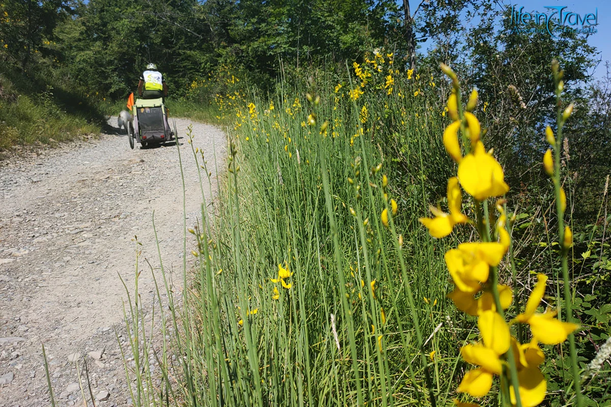 23 pedalando tra le ginestre