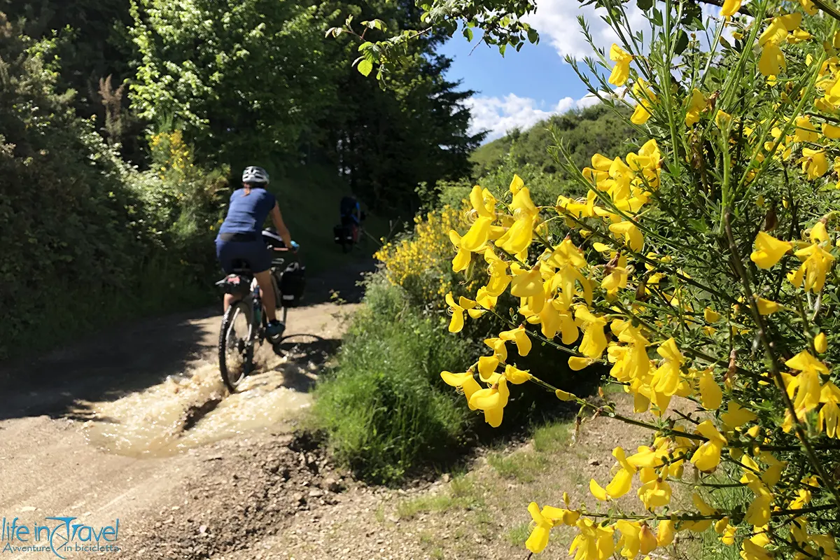Lunigiana Trail 2021 strada delle ginestre
