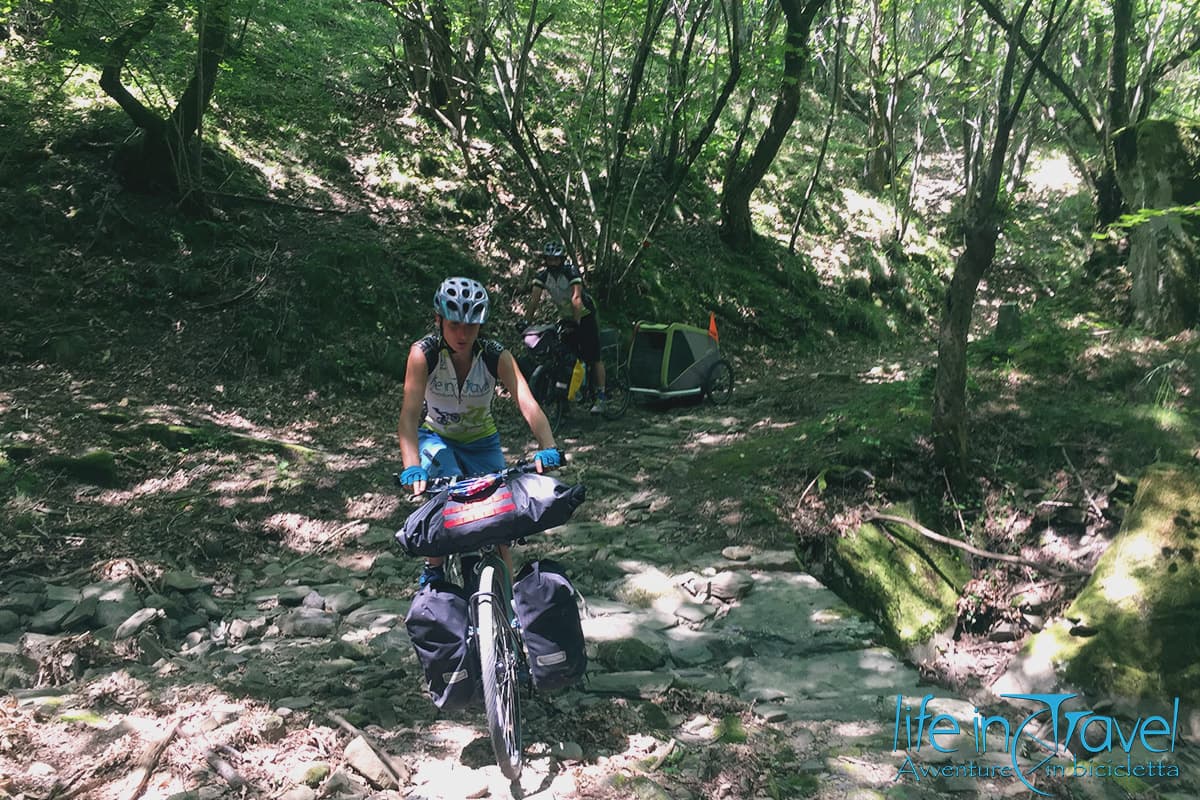 Lunigiana trail in bici Bosco 2