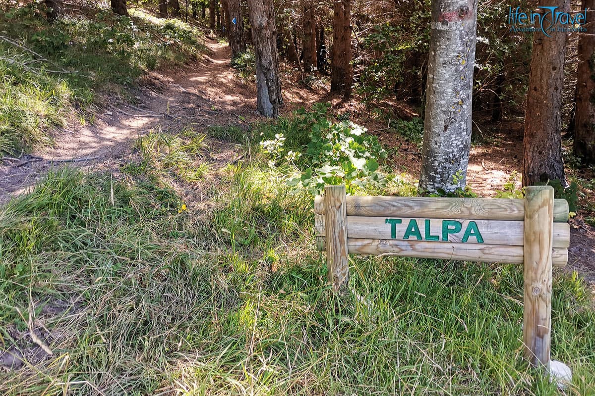 tracciato la talpa