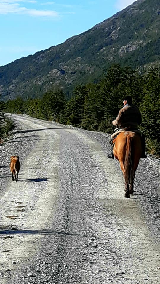patagonia in bici gaucho