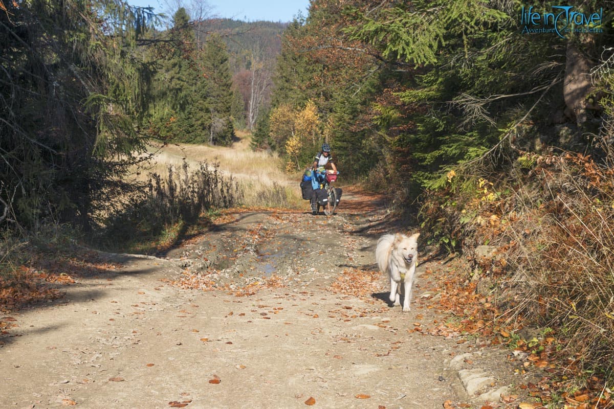 31 slovacchia in bici
