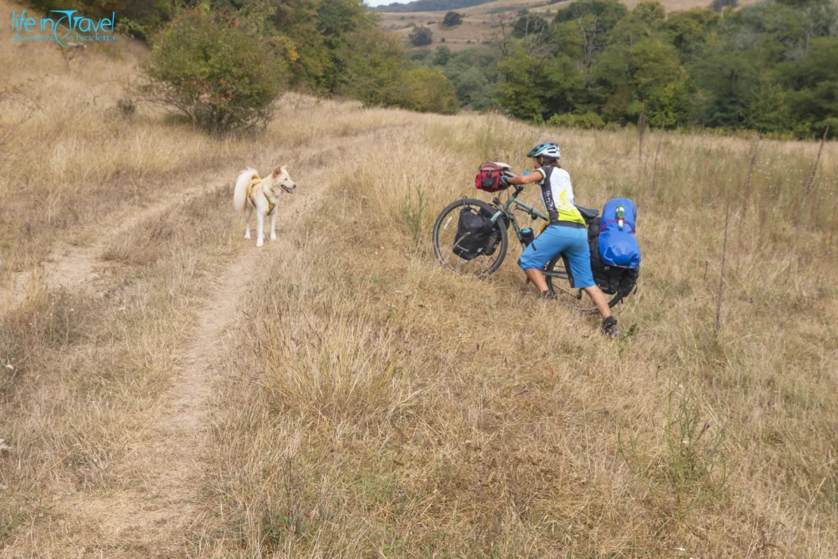 nord romania in bici transcarpazia