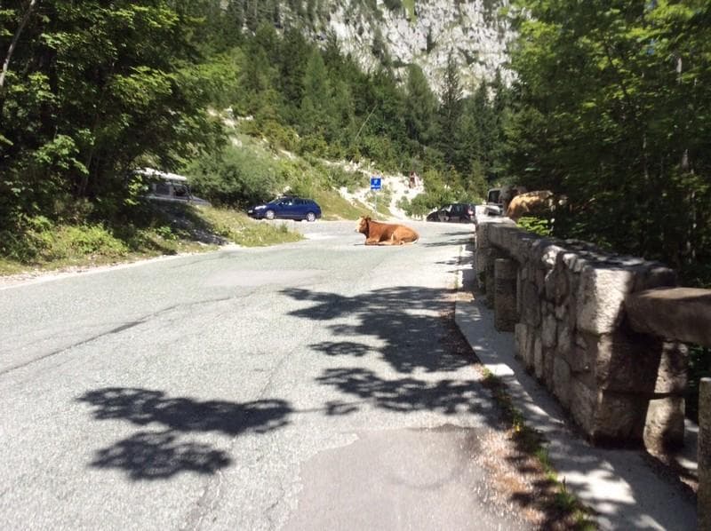 Ospiti lungo la strada