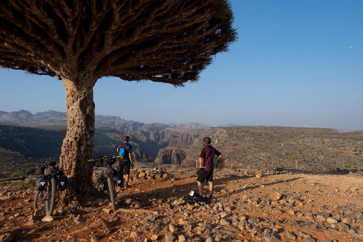 socotra in mtb