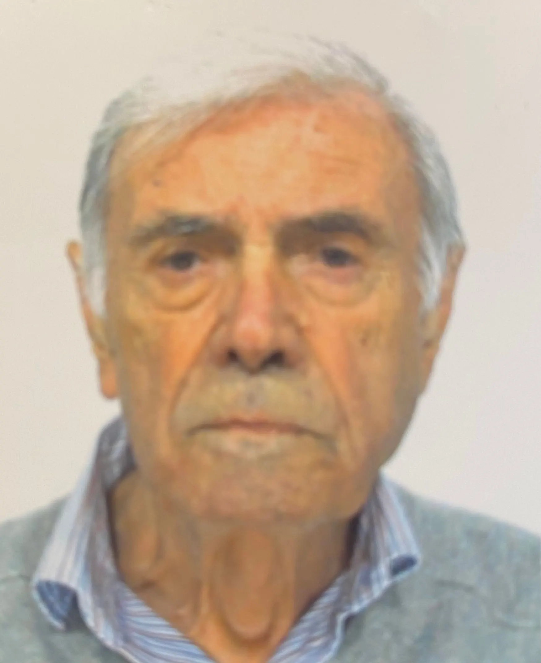 mario zaniboni