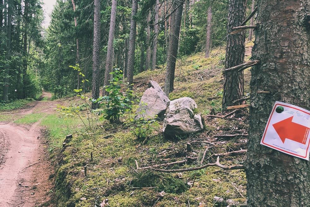 cesis 3  Lettonia in bici