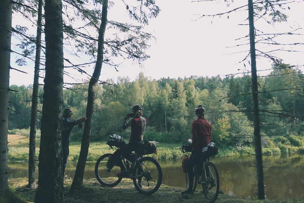gauja