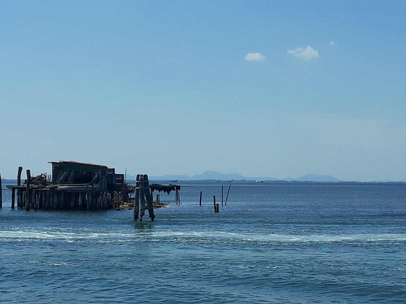 sfondo gli Euganei Laguna 1°piano