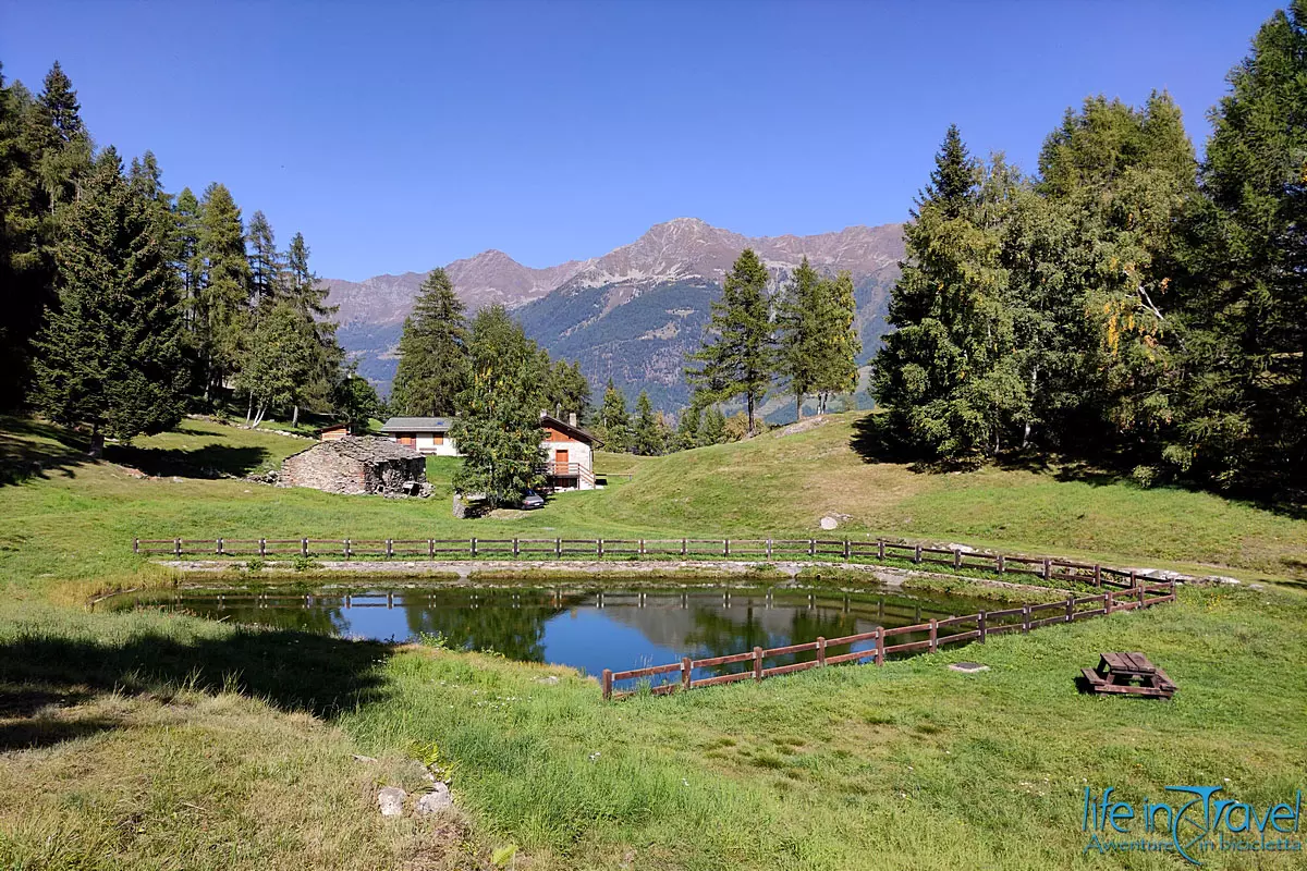 11 Mountain bike Valtellina Lughina