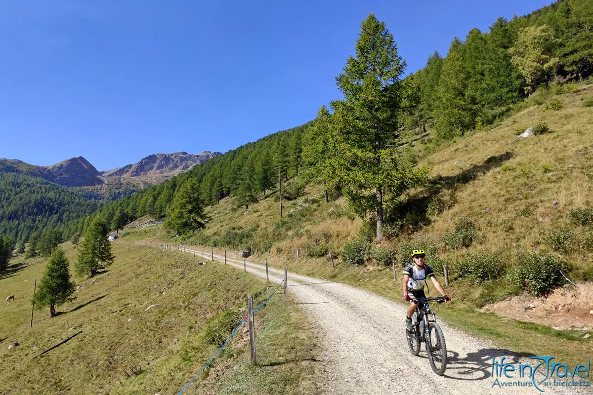 5 Pescia Bassa