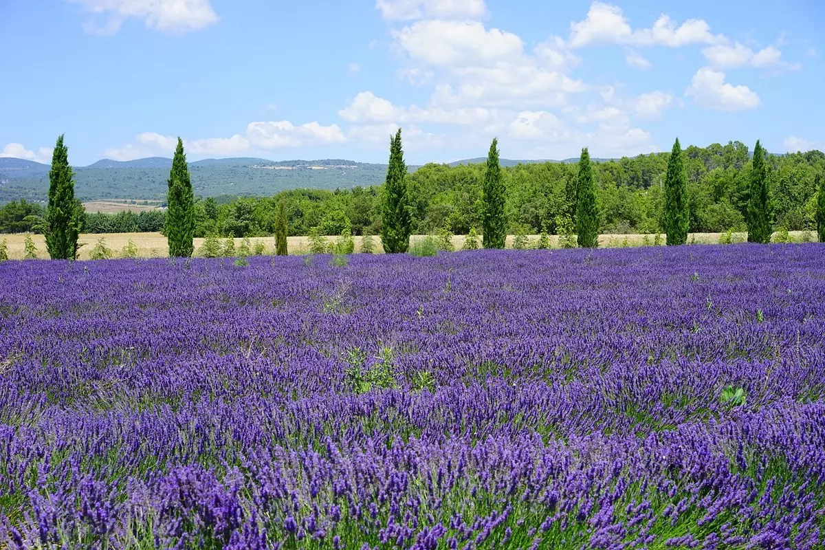 Eurovelo 17 LAVANDA