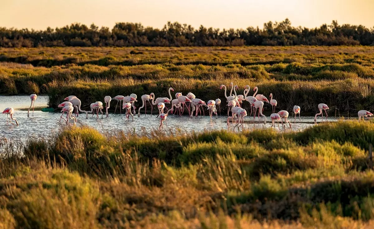 Eurovelo 17 CAMARGUE