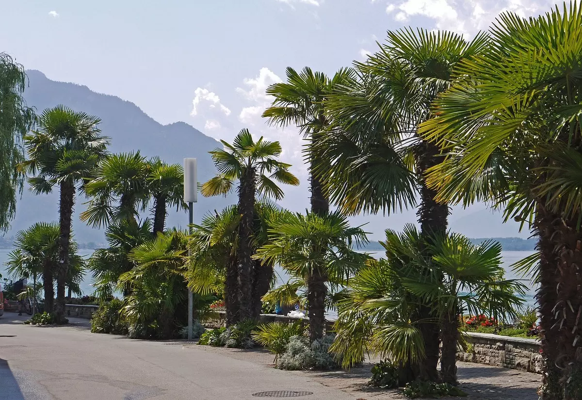 Eurovelo 17 LAC LEMAN