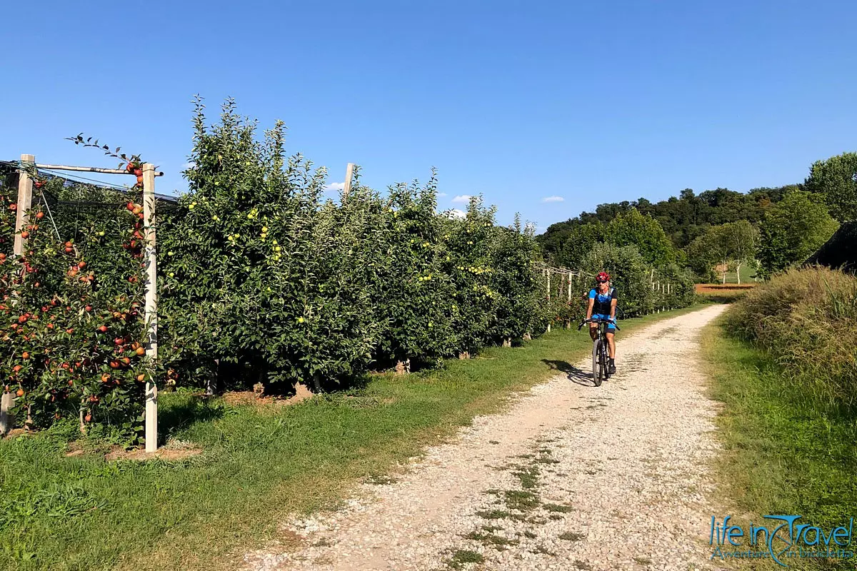 05 lago di Garda in bicicletta 05 lago di Garda in bicicletta
