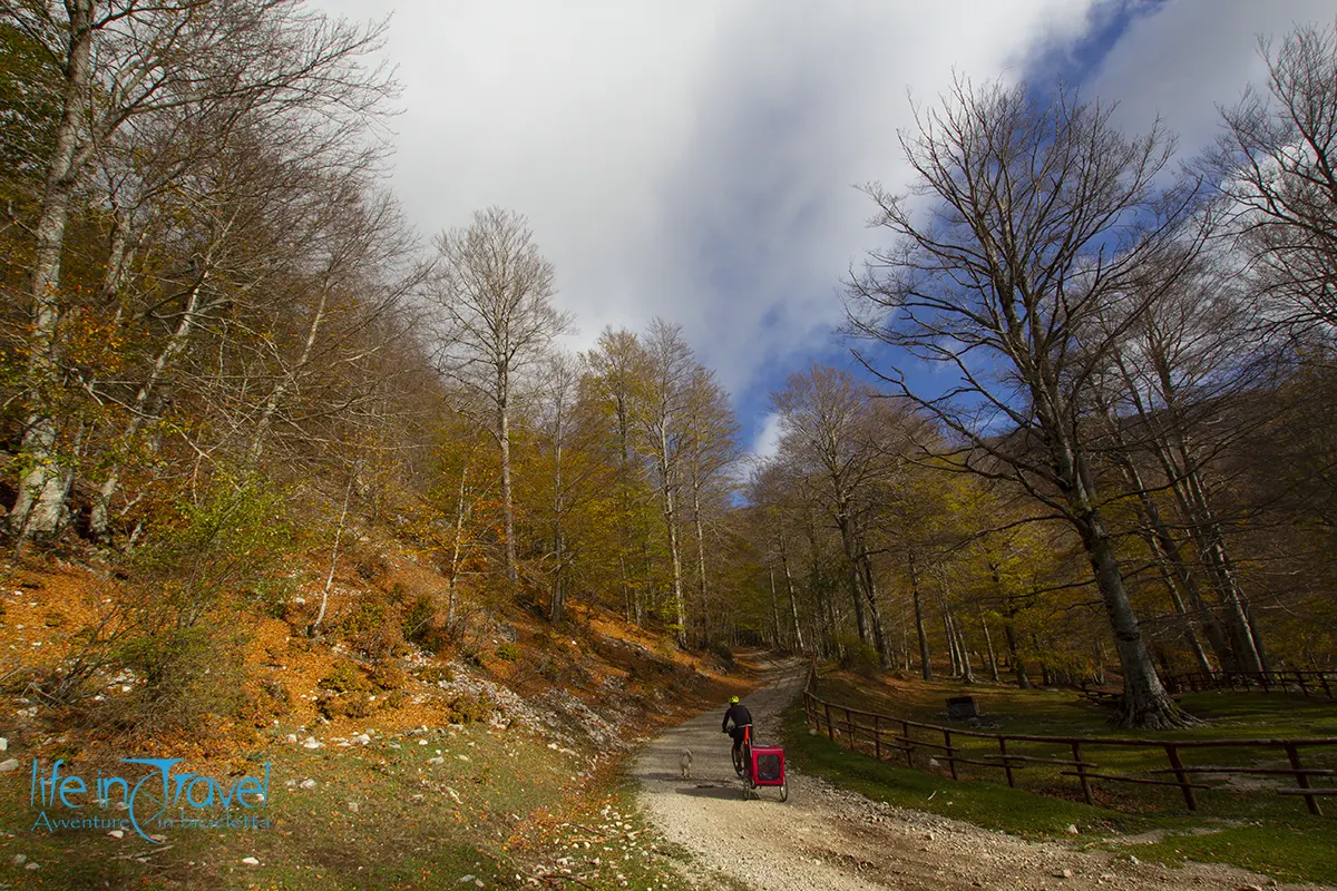 via silente crowdfunding bis