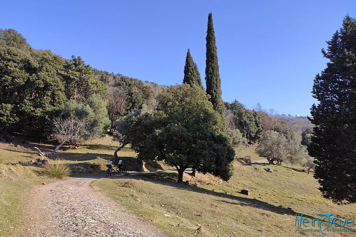 6 MTB LIVORNO