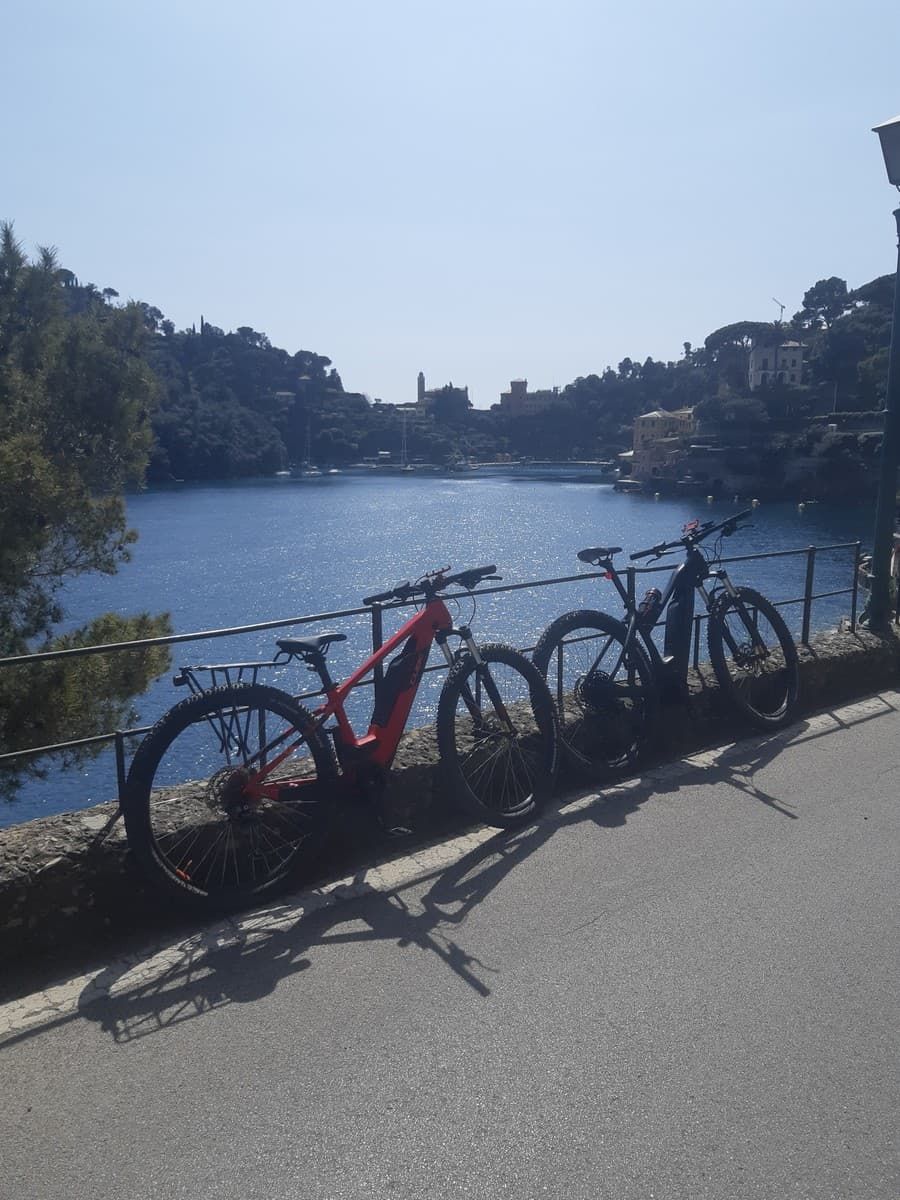 Arrivo a Portofino