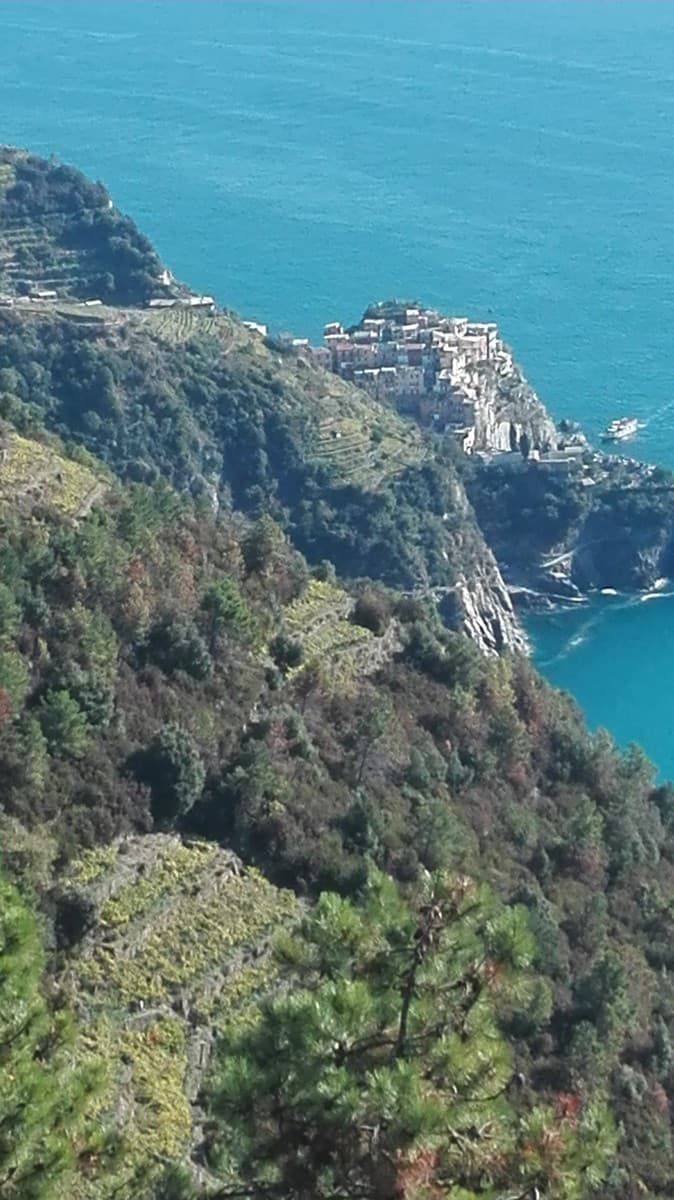 V   Manarola