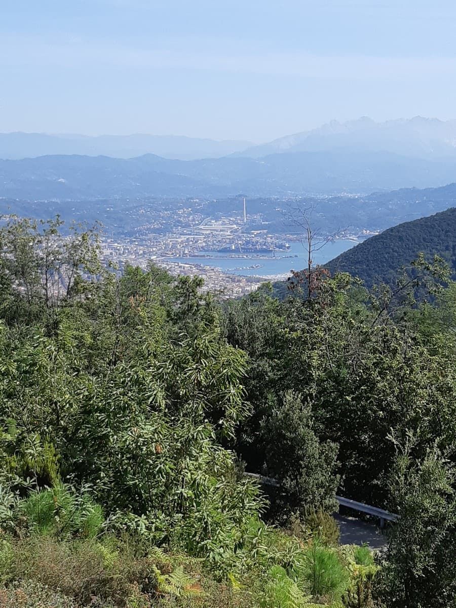 V2   Golfo di Spezia e Apuane dal Telegrafo