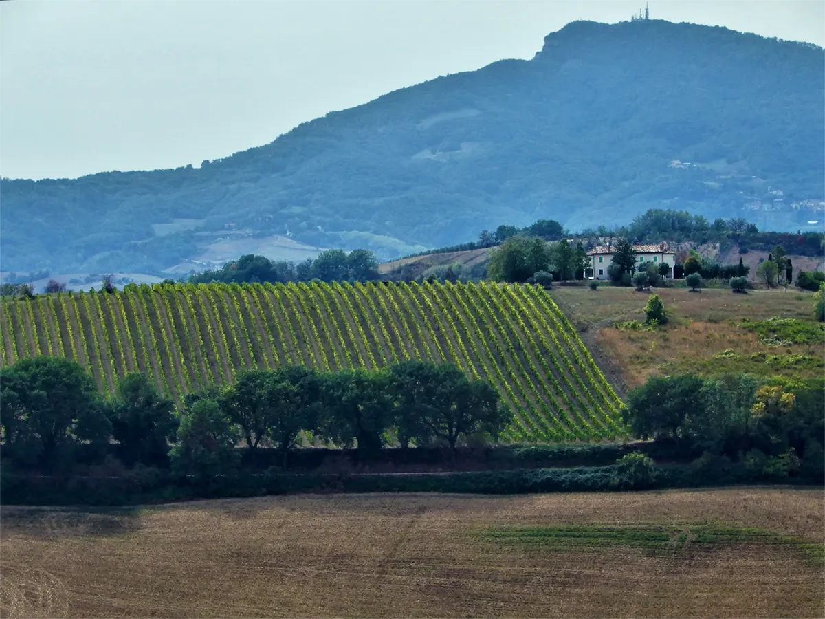 Verso Ripatransone