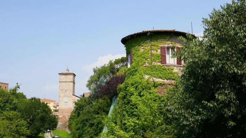 12 vignola