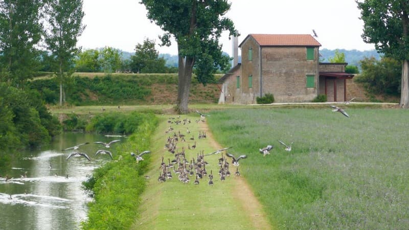 15 parco del delta