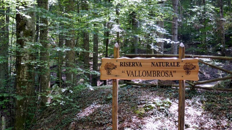 56 riserva vallombrosa
