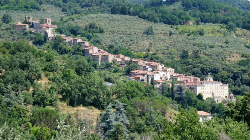 68 collodi