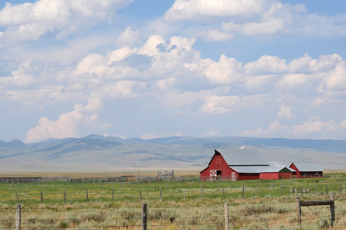 2.Montana