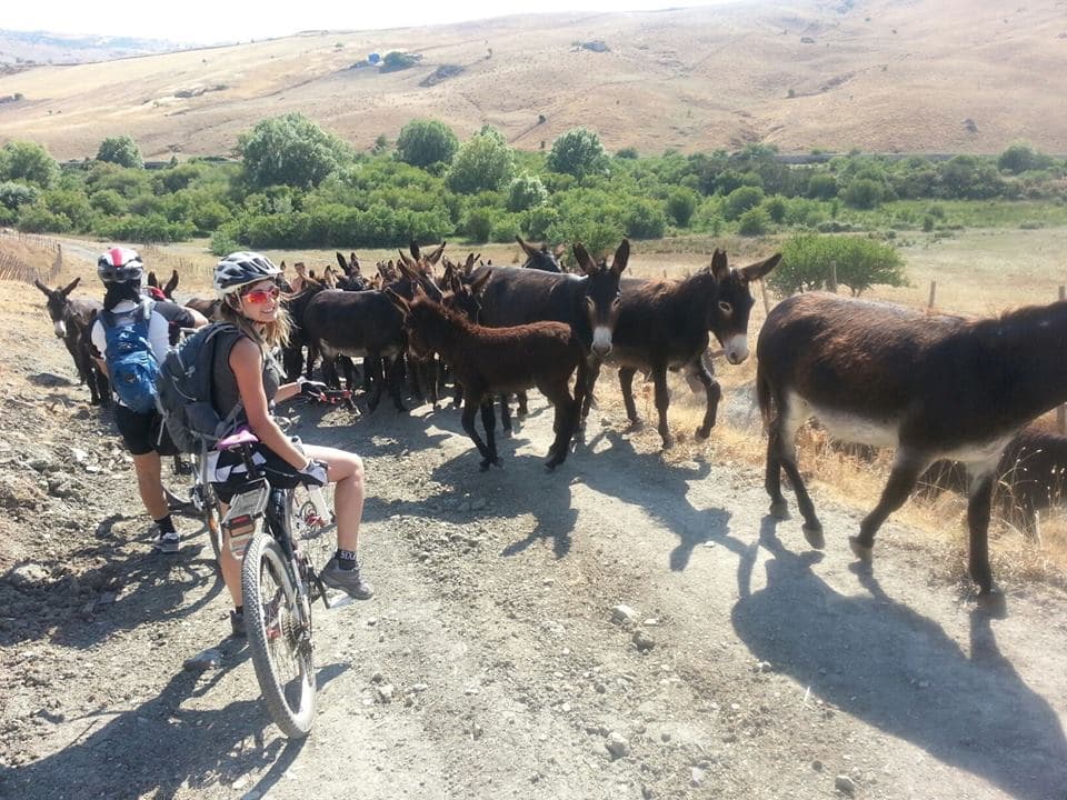 MTB Sicilia