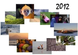Calendario 2012 Life in Travel