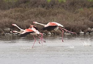 14° Parco in bici sul delta del Po veneto