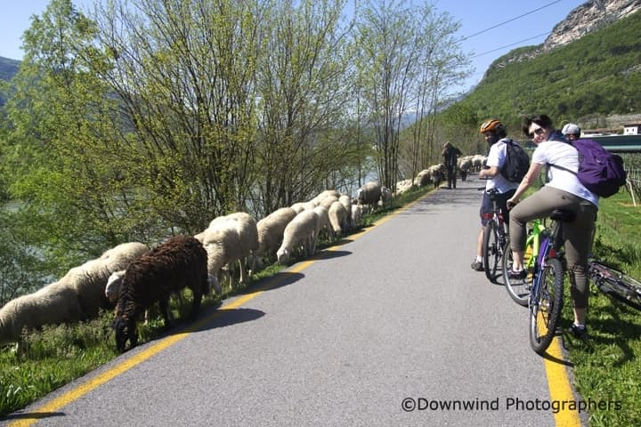 Trento - Rovereto in bici: lungo l'Adige per invadere il Mart