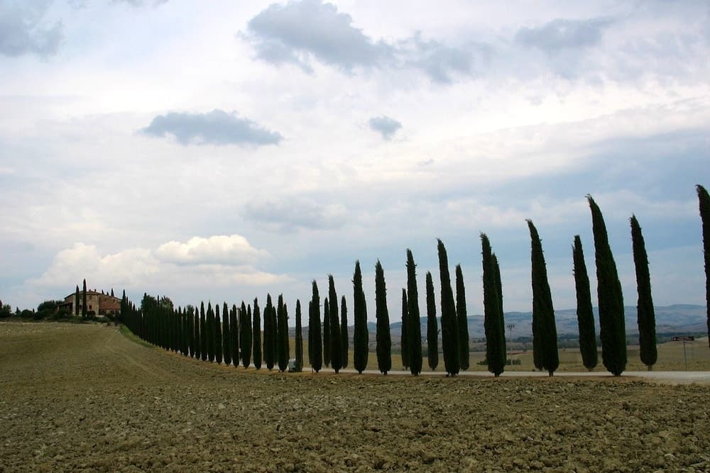 Via Francigena a Radicofani