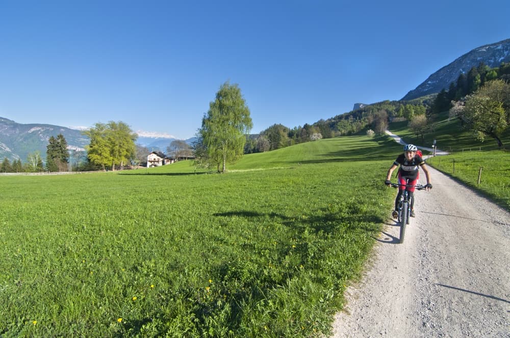 Vigneti dell'Alto Adige in bici