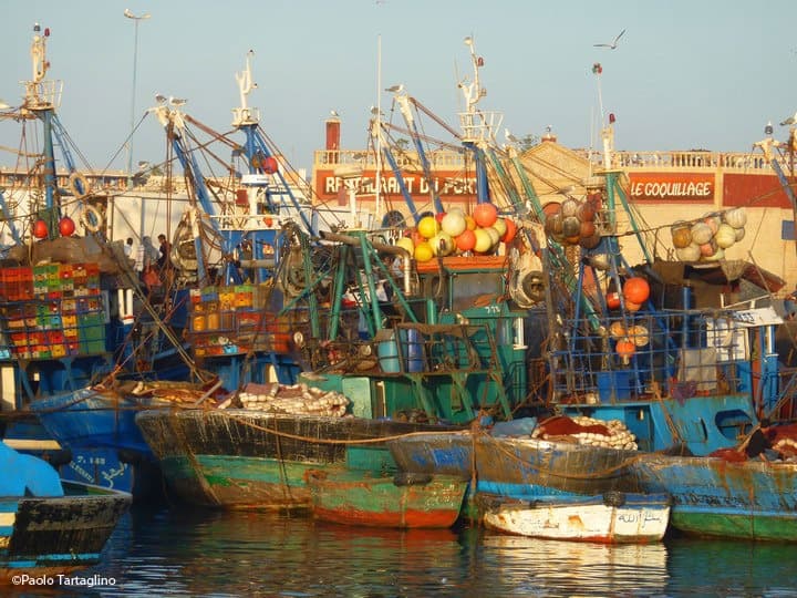 I pescherecci di Essaouira